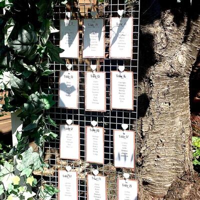 Mesh seating plan